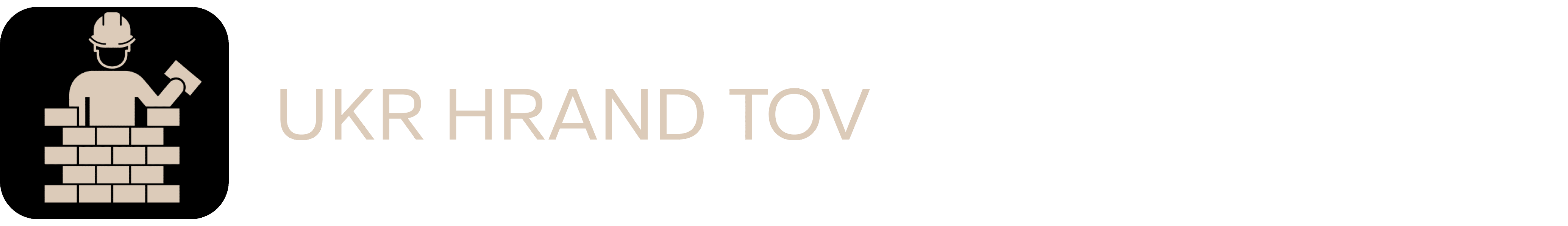 Professional Website Builder Logo